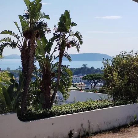 Don Carlo * Ischia